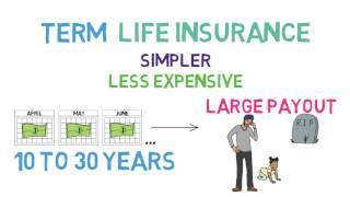 Life Insurance 101 (Life Insurance 1/2; Relationships & Finance 5/8)