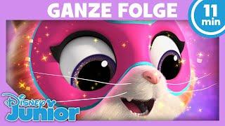 Die SuperKitties und die Angst vor dem Feuerwerk GANZE FOLGE 1 | SuperKitties