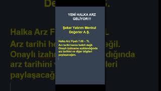 Şeker Yatırım Menkul Değerler A Ş  halka arz oluyor