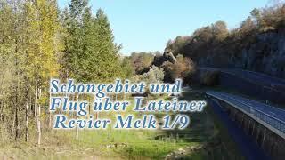 Schongebiet und Lateiner Flug