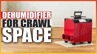 The Best Dehumidifier for Crawl Spaces in 2025  - The Right Dehumidifier for Your Crawl Space