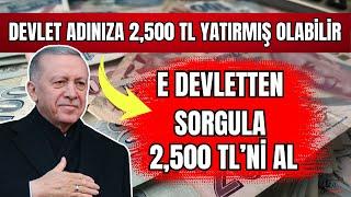 2,500 TL ADINIZA T.C 'NİZE DEVLET PARA YATIRMIŞ OLABİLİR! BANA CIKMAZ DEME E DEVLETTEN SORGULA