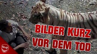 5 Bilder die kurz vor dem Tod aufgenommen wurden!