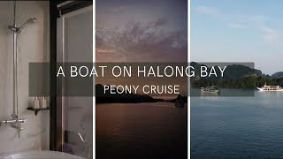 $260 USD Boat Stay On Halong Bay Peony Cruise | Golden Astrolabe