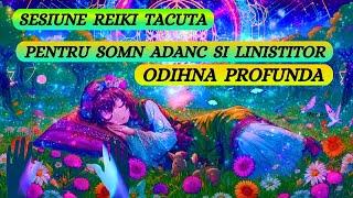 SESIUNE REIKI TACUTA PENTRU SOMN ADANC SI LINISTITOR - ODIHNA PROFUNDA