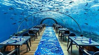 World's Most Expensive Restaurant!