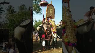 കോളകാടൻ ഗണപതി #trissur #kerala #pooram #aanakambam #elephant #ulsavakeralam #aana #aanapremi #2023