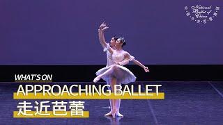 Approaching Ballet at the Tianqiao Theater: "Both the Dancers and the Audience Learn Something!"