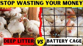 HERE IS THE ONLY SYSTEM THAT WILL EARN YOU MORE MONEY | BATTERY CAGE SYSTEM VS DEEP LITTER SYSTEM