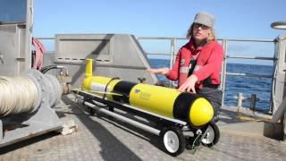 NIWA's glider offers new understanding of ocean processes