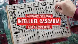 The is Intellijel Cascadia - A Semi-Modular Powerhouse