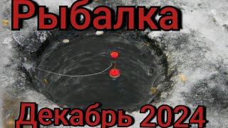 Рыбалка на поплавок 8 декабря 2024 г.Первый лёд 2024-25 опасный и щедрый!Разломы по всей реке!