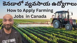 Telugu Vlog #40 ||  How to Apply Agriculture and Farming Jobs in Canada  | Ultimate Guide 2023