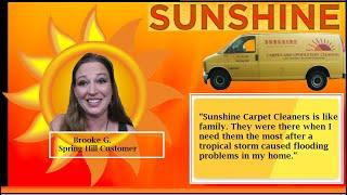 Brooke G. of Spring Hill Carpet Cleaning Success Story