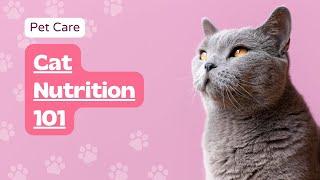 Cat Nutrition 101: Essential Guide for a Healthy Feline Diet | Happy Pets, Happy Owners Ep03