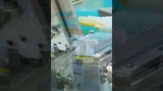Produktion von Kurkuma Kapseln bei kingnature