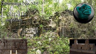 Mayan Site No. 329. Payán, Campeche, Mexico