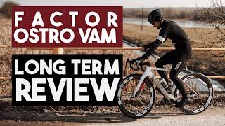 Factor Ostro VAM  - One Year Long Term Review