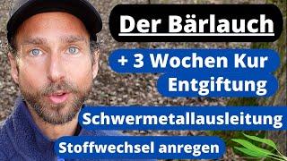 Der Bärlauch + 3 Wochen Entgiftungskur und Schwermetallausleitung + Stoffwechsel anregen