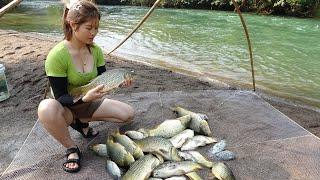 Amazing fishing | How to catch fish in the stream, catching a lot of fish | Sell fish at the market