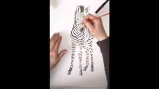 Making of "The Sweet Baby Zebra" by Brett Blumenthal
