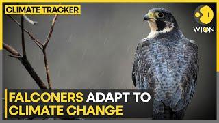 Falconers Struggle As Climate Change Disrupts Hunting In Wisconsin | WION Climate Tracker