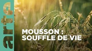 Mousson, le souffle providentiel | Grands vents | ARTE Family