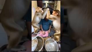 ai edit video #funny #comedy #viralvideo 