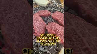 소고기 맛집, 신중년과정 용접, 배관 무료교육