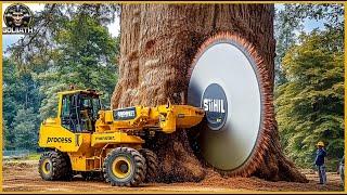 Extreme Dangerous Fastest Big Chainsaw Cutting Tree Machines | Monster Stump Removal Excavator #1