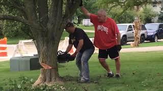 Tree Cutting Fail