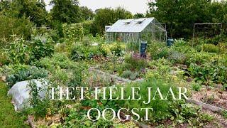 Het hele jaar oogsten uit je PERMACULTUUR MOESTUIN