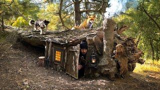 Building a Secret Shelter Under a Fallen Tree for Survival | Tamed a wild fox