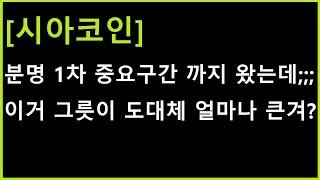 [시아코인] 반응이 보통이랑 완전히 다르네요 ㄷㄷㄷ 도대체 그릇이 얼마나 큰거야?