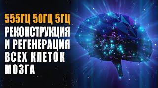 555гц 50гц 5гц Реконструкция и Регенерация Всех Клеток Мозга | Лечебная Космическая Музыка Исцеления