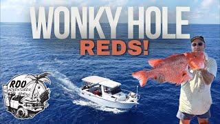 FNQ REEF FISHING TRIP | WONKY HOLES | RED EMPEROR!