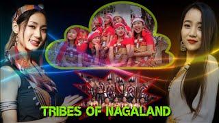 Tribes of Nagaland || North East India