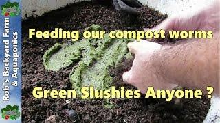 How we feed our compost worms, worm slushies anyone ?
