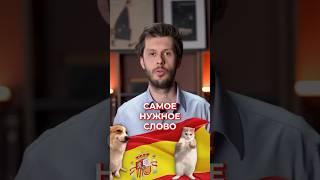 Ты точно говоришь это слово каждый день! | Испанский язык для путешествий