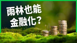 雨林也能金融化？大火加劇 巴西政府讓雨林「上市」？是解方還是危機？【TODAY 看世界】