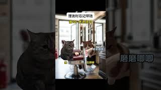 #猫meme #cat #猫meme小剧场 #猫meme剧场