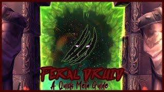 WoW TBC Feral Druid: A Quick Meta Guide