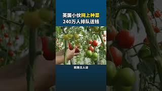 英国小伙网上种菜，240万人排队送钱#商业思维 #营销 #生意 #创业