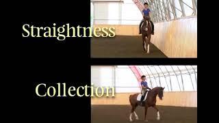 #25: Collection — 40 Fundamentals of English Riding