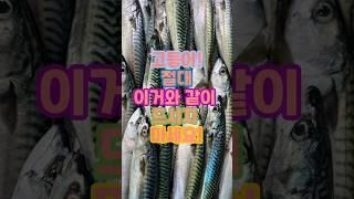 고등어! 절대 이거와 같이 드시지 마세요!