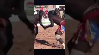 African Wrestling: Watch till end |Sabre Agadez