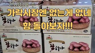 최대규모 가락시장 돌아보기 남의집 장바구니 구경은 덤!!!~