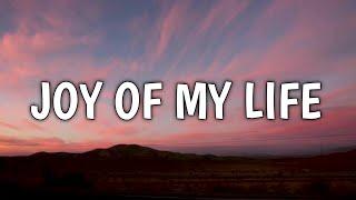 Chris Stapleton - Joy of My Life (Lyrics)