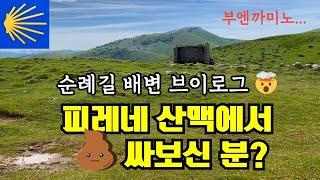 DAY4-3. 저는 작은거였어요. “진짜로” | 화장실 없는 순례길 | 오리손 - 론세스바예스 (18km)