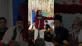 Jashne Mola Ali ||  Nowgawan Sadat 2023 || Shiz Azadari #shorts